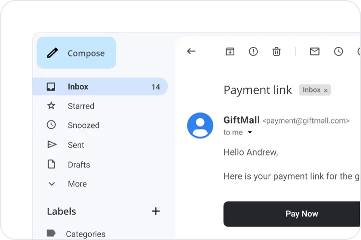 Email with a payment link and Pay Now button